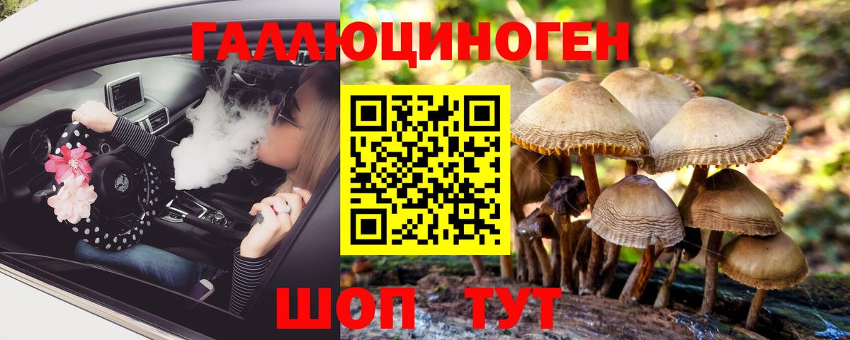 Галлюциногенные грибы Psilocybe Комсомольск-на-Амуре